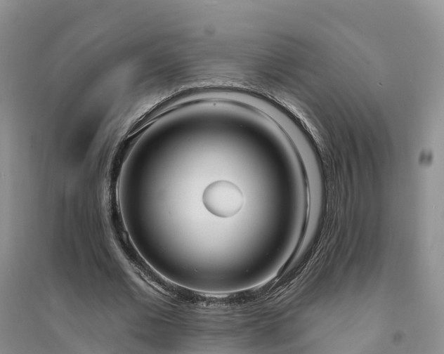X0000094330677200711091405