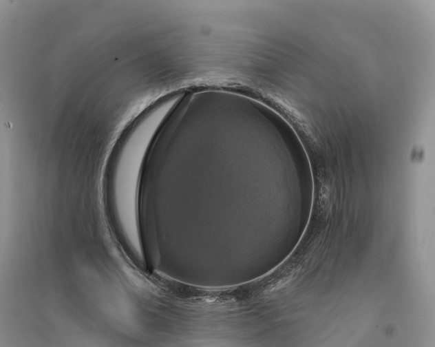 X0000094330678200711091405