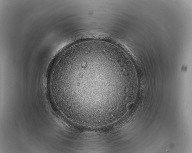 X0000094330679200711091405