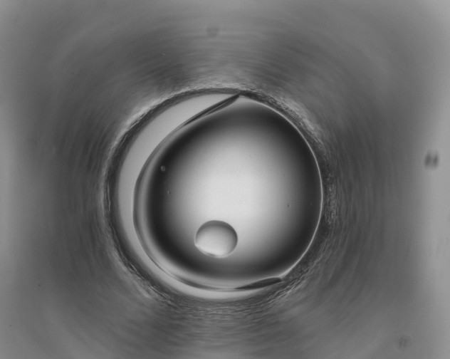 X0000094330680200711091405