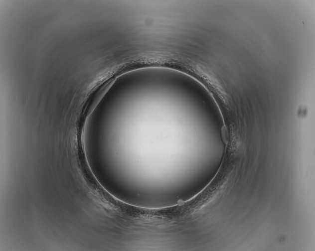 X0000094330681200711091405