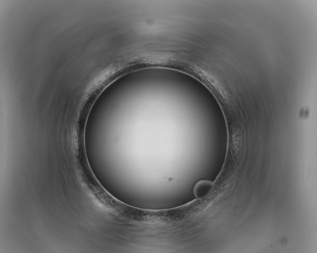 X0000094330682200711091405