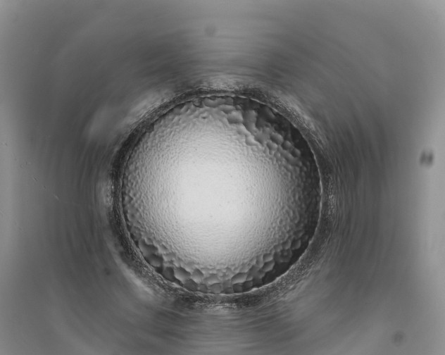 X0000094330683200711091405