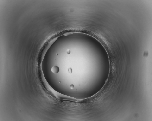 X0000094330684200711091405