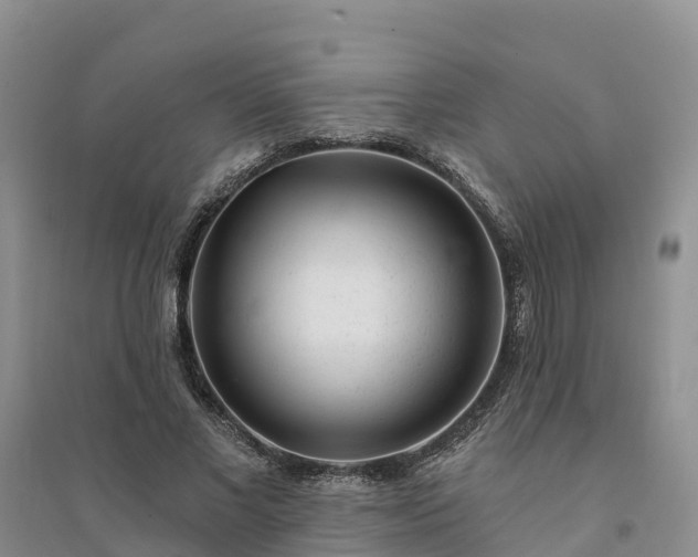 X0000094330685200711091405