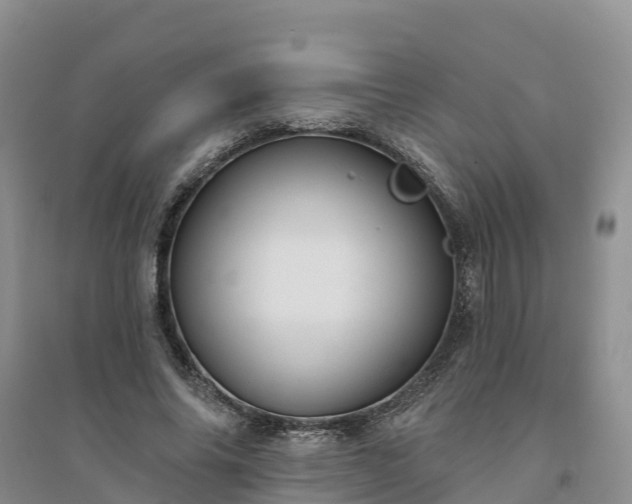 X0000094330686200711091405