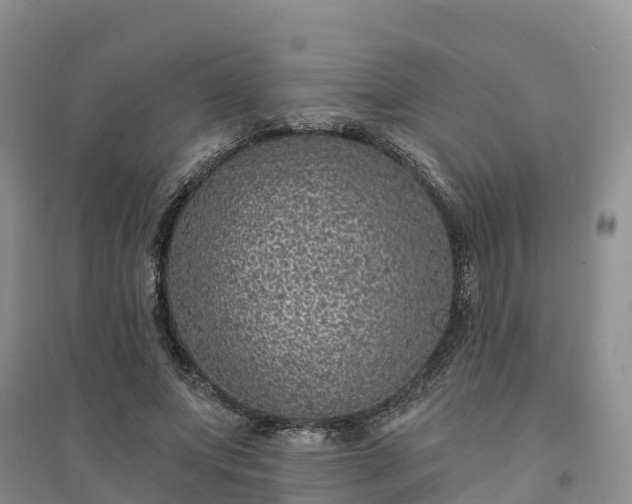 X0000094330687200711091405