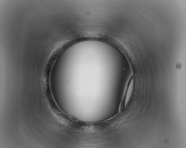 X0000094330688200711091405