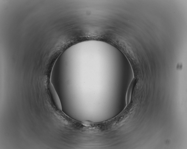 X0000094330689200711091405