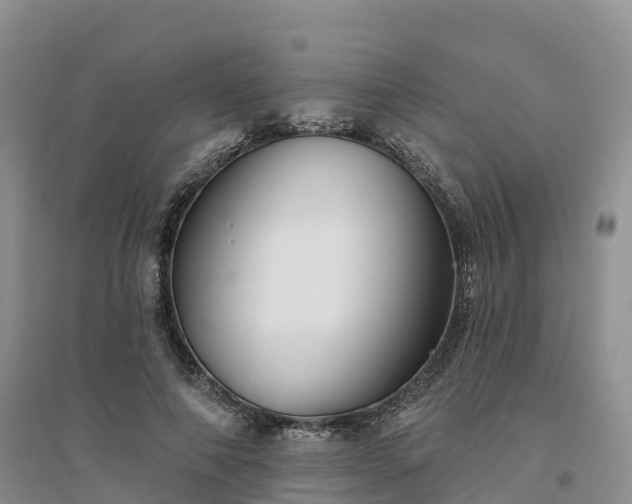 X0000094330690200711091405