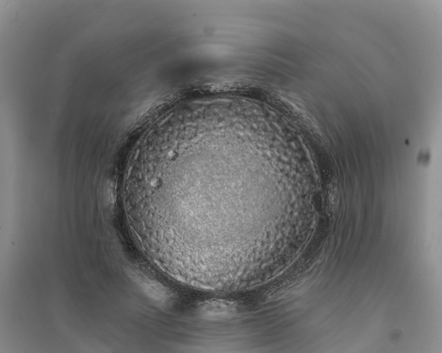 X0000094330691200711091405