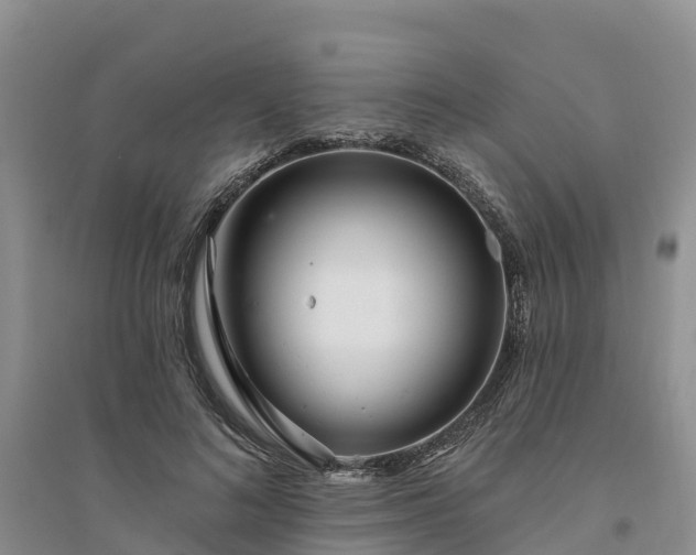 X0000094330692200711091405