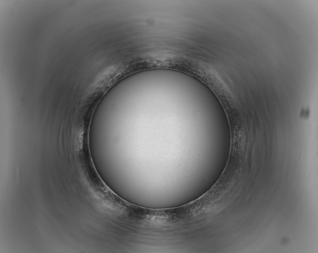 X0000094330694200711091405