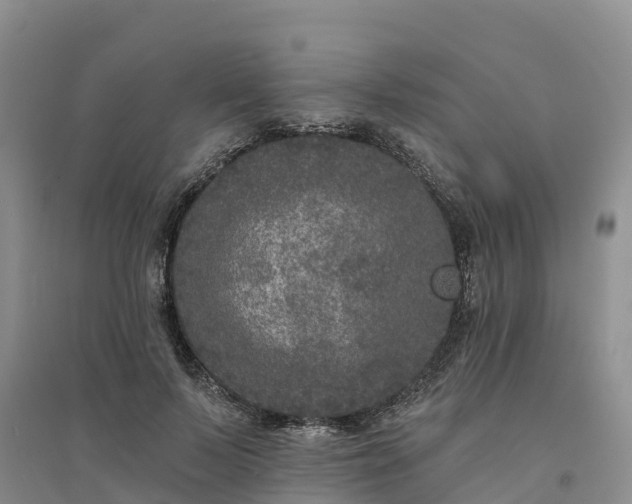 X0000094330695200711091405