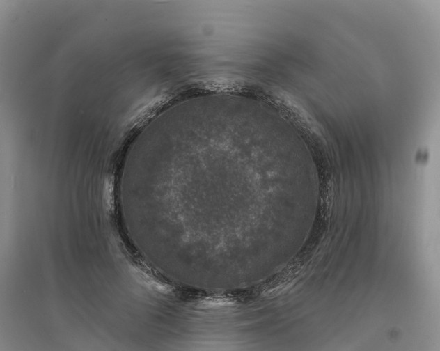 X0000094330696200711091405