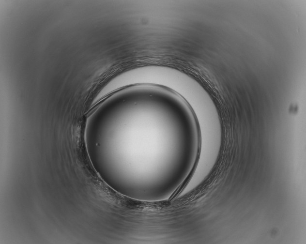 X0000094330697200711091405