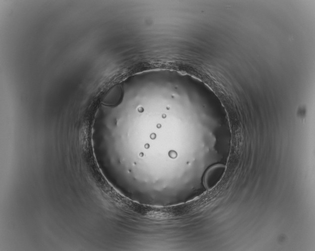 X0000094330699200711091405