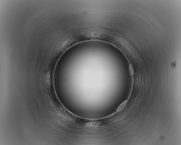 X0000094330700200711091405
