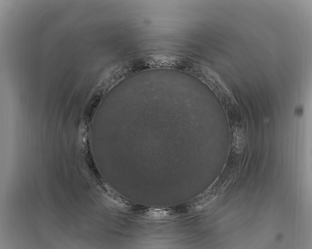 X0000094330701200711091405