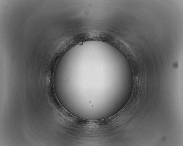 X0000094330702200711091405