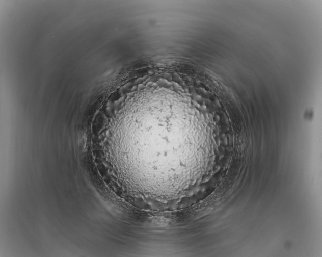 X0000094330703200711091405