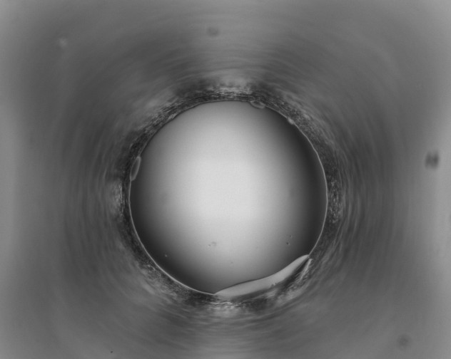 X0000094330704200711091405