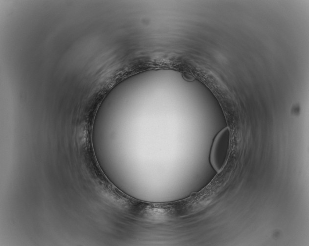 X0000094330706200711091405