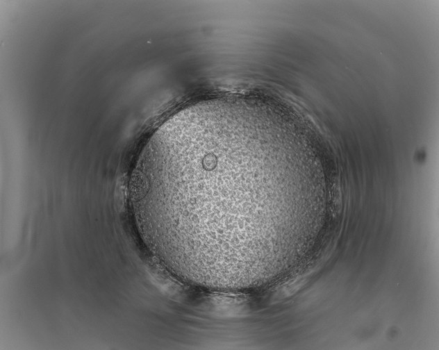 X0000094330707200711091405