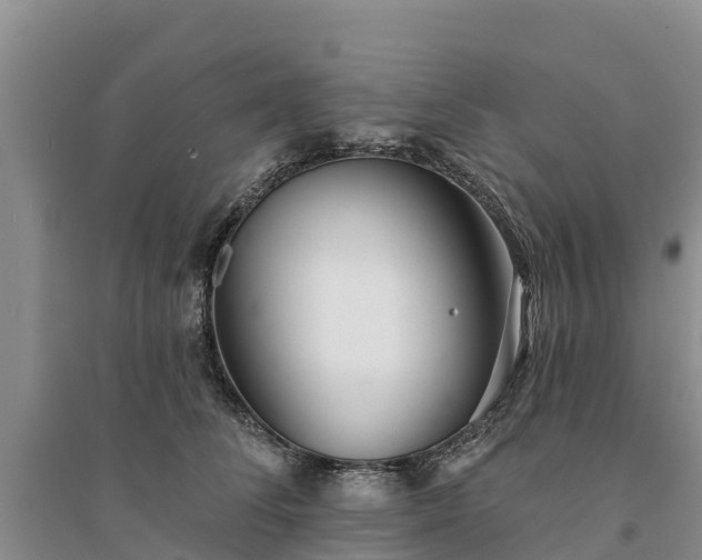 X0000094330708200711091405