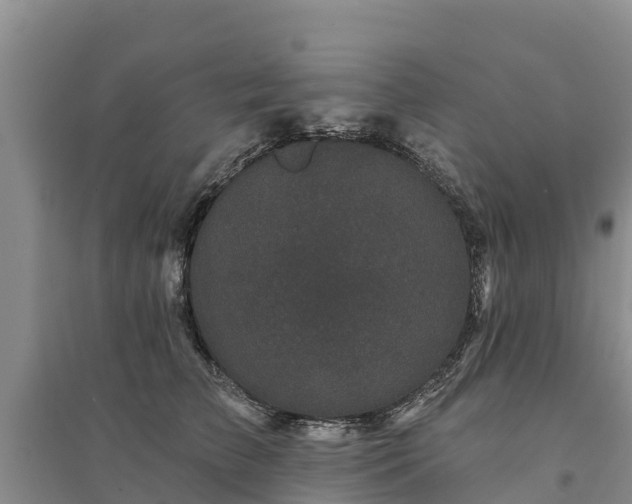 X0000094330709200711091405