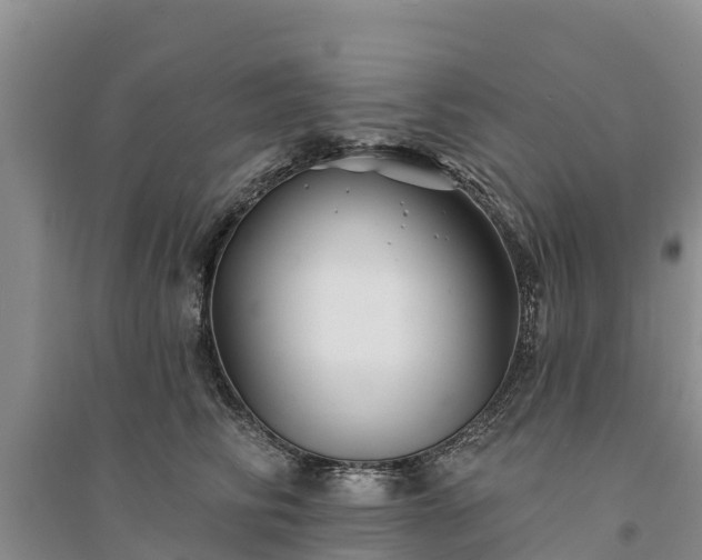 X0000094330710200711091405