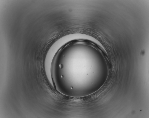 X0000094330711200711091405