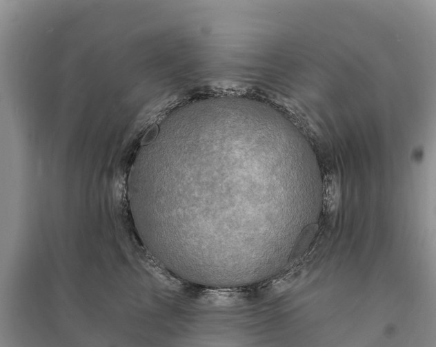 X0000094330713200711091405
