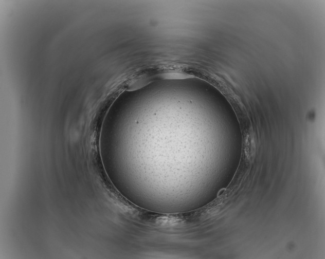 X0000094330714200711091405