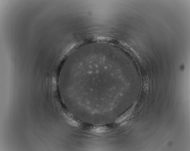 X0000094330716200711091405