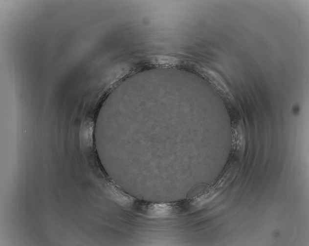 X0000094330717200711091405