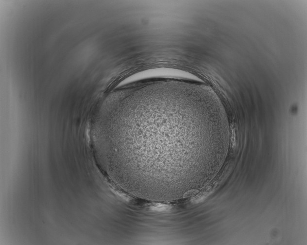 X0000094330718200711091405