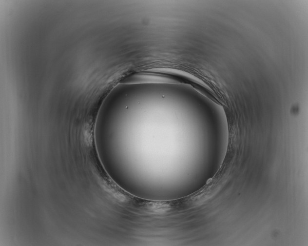 X0000094330719200711091405