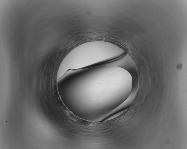 X0000094330720200711091405