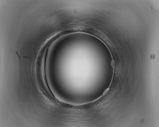 X0000094330722200711091404