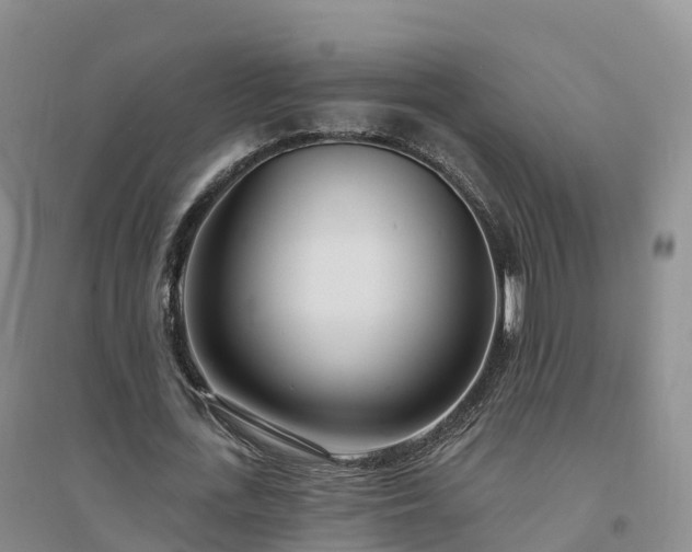 X0000094330723200711091404