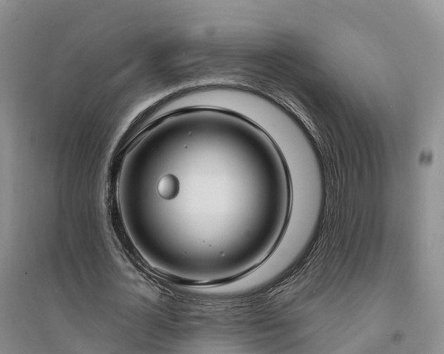 X0000094330724200711091404