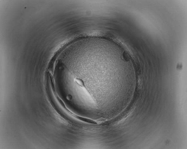 X0000094330725200711091404