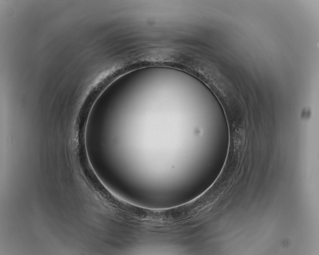 X0000094330727200711091404