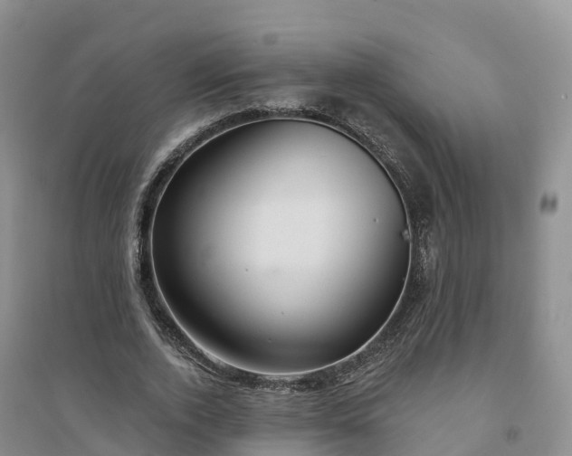 X0000094330728200711091404