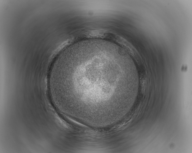 X0000094330729200711091404