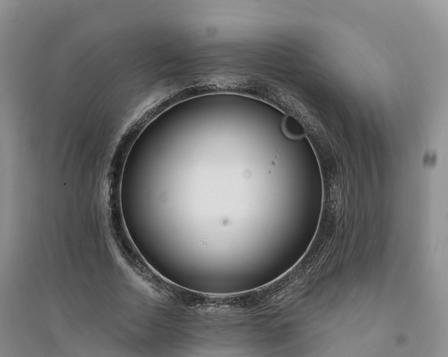 X0000094330730200711091404