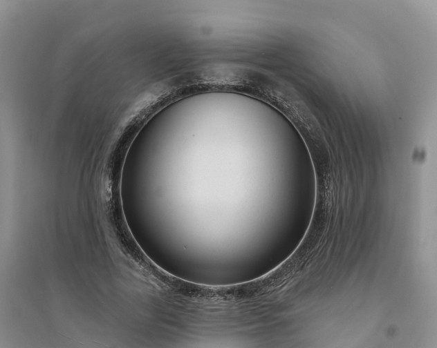 X0000094330731200711091404