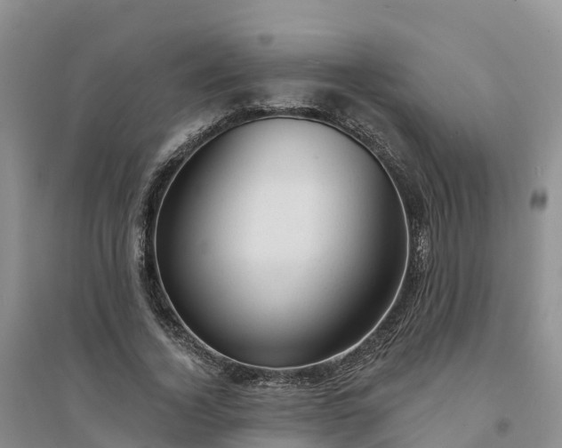 X0000094330732200711091404