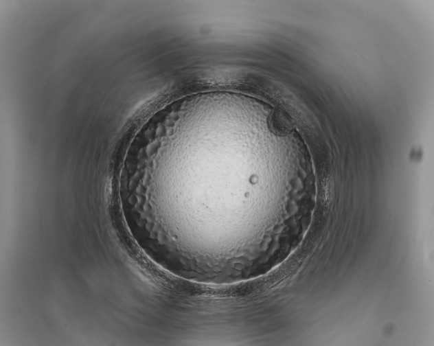 X0000094330733200711091404
